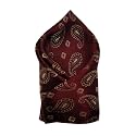 VOICI France Men's Pocket Square, checked &amp; paisley design, free size, Microfiber Satin fabric