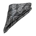 VOICI France Men's Pocket Square, checked &amp; paisley design, free size, Microfiber Satin fabric