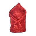 VOICI France Men's Pocket Square, checked &amp; paisley design, free size, Microfiber Satin fabric