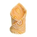 VOICI France Men's Pocket Square for Tuxedo Dinner Jacket Suit Sherwani or Bundy Paisley Design Satin Fabric Free Size