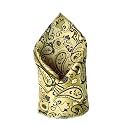 VOICI France Men's Pocket Square for Tuxedo Dinner Jacket Suit Sherwani or Bundy Paisley Design Satin Fabric Free Size