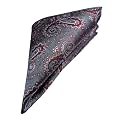 VOICI France Men's Pocket Squares Paisley Design Satin Microfiber Fabric Coat Rumaal Free Size