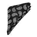VOICI France Men's Pocket Squares Paisley Design Satin Microfiber Fabric Coat Rumaal Free Size