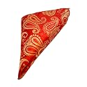 VOICI France Men's Pocket Squares Paisley Design Satin Microfiber Fabric Coat Rumaal Free Size