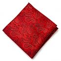 VOICI France Men's Pocket Square, checked &amp; paisley design, free size, Microfiber Satin fabric