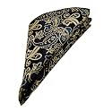 VOICI France Men's Pocket Squares Paisley Design Satin Microfiber Fabric Coat Rumaal Free Size