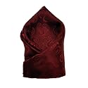 VOICI France Men's Pocket Square, checked &amp; paisley design, free size, Microfiber Satin fabric