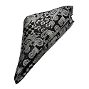 VOICI France Men's Pocket Squares Paisley Design Satin Microfiber Fabric Coat Rumaal Free Size