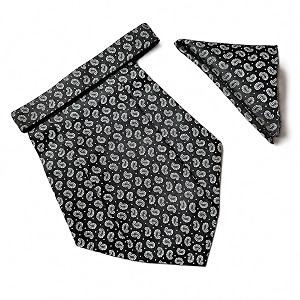 voici france mens paisley cravat ascot necktie pocket square microfiber fabric free size