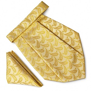 voici france mens paisley cravat ascot necktie pocket square microfiber fabric free size