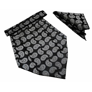 voici france mens paisley cravat ascot necktie pocket square microfiber fabric free size