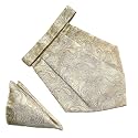 VOICI France Mens Paisley Cravat ascot NeckTie Pocket Square Microfiber Fabric Free Size