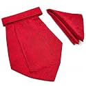 VOICI France Mens Paisley Cravat ascot NeckTie Pocket Square Microfiber Fabric Free Size