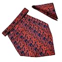 VOICI France Mens Paisley Cravat ascot NeckTie Pocket Square Microfiber Fabric Free Size