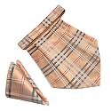VOICI France Mens Paisley Cravat ascot NeckTie Pocket Square Microfiber Fabric Free Size