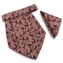 VOICI France Mens Paisley Cravat ascot NeckTie Pocket Square Microfiber Fabric Free Size