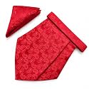 VOICI France Mens Paisley Cravat ascot NeckTie Pocket Square Microfiber Fabric Free Size