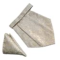 VOICI France Mens Paisley Cravat ascot NeckTie Pocket Square Microfiber Fabric Free Size