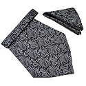 VOICI France Mens Paisley Cravat ascot NeckTie Pocket Square Microfiber Fabric Free Size
