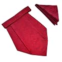 VOICI France Mens Paisley Cravat ascot NeckTie Pocket Square Microfiber Fabric Free Size
