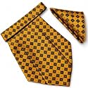 VOICI France Mens Paisley Cravat ascot NeckTie Pocket Square Microfiber Fabric Free Size