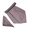 VOICI France Mens Paisley Cravat ascot NeckTie Pocket Square Microfiber Fabric Free Size