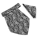 VOICI France Mens Paisley Cravat ascot NeckTie Pocket Square Microfiber Fabric Free Size