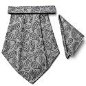 VOICI France Mens Paisley Cravat ascot NeckTie Pocket Square Microfiber Fabric Free Size