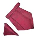 VOICI France Mens Paisley Cravat ascot NeckTie Pocket Square Microfiber Fabric Free Size