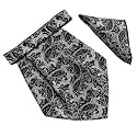VOICI France Mens Paisley Cravat ascot NeckTie Pocket Square Microfiber Fabric Free Size