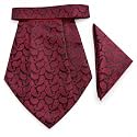 VOICI France Mens Paisley Cravat ascot NeckTie Pocket Square Microfiber Fabric Free Size