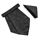 VOICI France Mens Paisley Cravat ascot NeckTie Pocket Square Microfiber Fabric Free Size