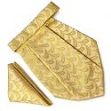 VOICI France Mens Paisley Cravat ascot NeckTie Pocket Square Microfiber Fabric Free Size