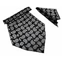 VOICI France Mens Paisley Cravat ascot NeckTie Pocket Square Microfiber Fabric Free Size