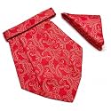 VOICI France Mens Paisley Cravat ascot NeckTie Pocket Square Microfiber Fabric Free Size