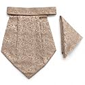 VOICI France Mens Paisley Cravat ascot NeckTie Pocket Square Microfiber Fabric Free Size