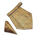 VOICI France Mens Paisley Cravat ascot NeckTie Pocket Square Microfiber Fabric Free Size