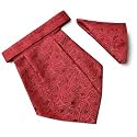 VOICI France Mens Paisley Cravat ascot NeckTie Pocket Square Microfiber Fabric Free Size