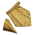 VOICI France Mens Paisley Cravat ascot NeckTie Pocket Square Microfiber Fabric Free Size