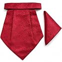 VOICI France Mens Paisley Cravat ascot NeckTie Pocket Square Microfiber Fabric Free Size