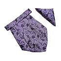 VOICI France Mens Paisley Cravat ascot NeckTie Pocket Square Microfiber Fabric Free Size