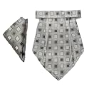 VOICI France Mens Paisley Cravat ascot NeckTie Pocket Square Microfiber Fabric Free Size
