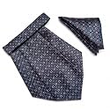 VOICI France Mens Paisley Cravat ascot NeckTie Pocket Square Microfiber Fabric Free Size