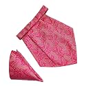 VOICI France Mens Paisley Cravat ascot NeckTie Pocket Square Microfiber Fabric Free Size