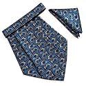 VOICI France Mens Paisley Cravat ascot NeckTie Pocket Square Microfiber Fabric Free Size