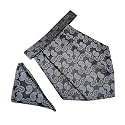 VOICI France Mens Paisley Cravat ascot NeckTie Pocket Square Microfiber Fabric Free Size