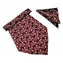 VOICI France Mens Paisley Cravat ascot NeckTie Pocket Square Microfiber Fabric Free Size