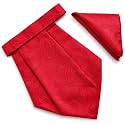 VOICI France Mens Paisley Cravat ascot NeckTie Pocket Square Microfiber Fabric Free Size
