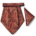 VOICI France Mens Paisley Cravat ascot NeckTie Pocket Square Microfiber Fabric Free Size