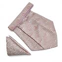 VOICI France Mens Paisley Cravat ascot NeckTie Pocket Square Microfiber Fabric Free Size